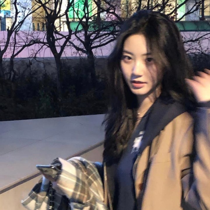 维纳斯计划